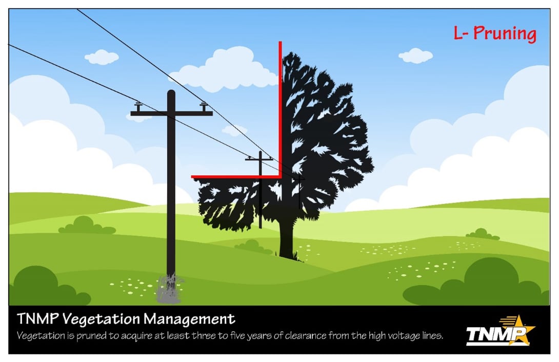 Tree pruning graphic - L shape